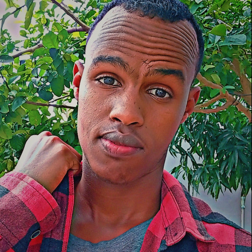Mohamed A.