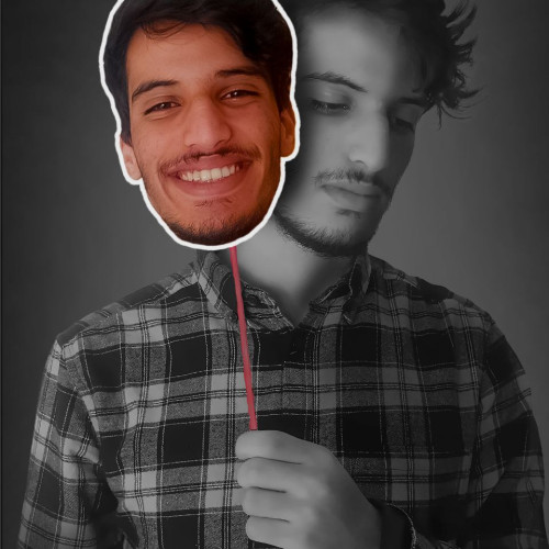 Mehdi A. profile photo