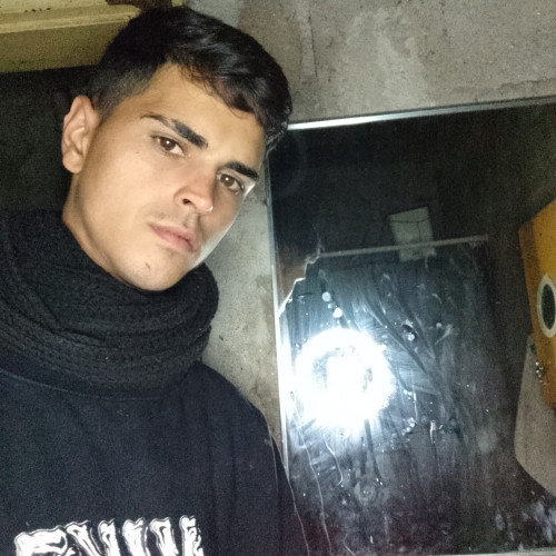 Alex S. profile photo