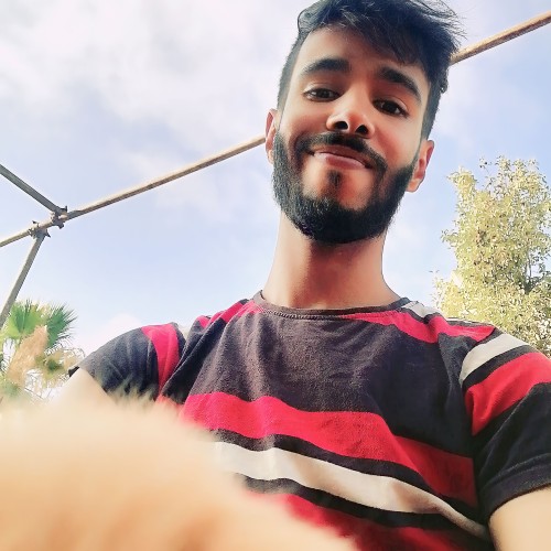 Hamza H.