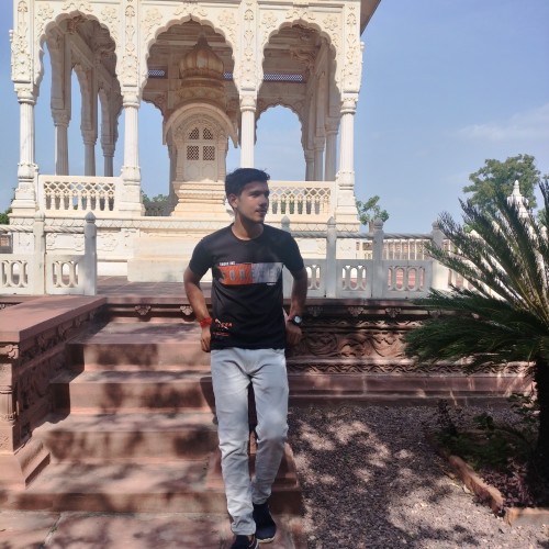 Shailendra N.