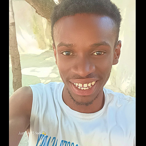 Jay N. profile photo