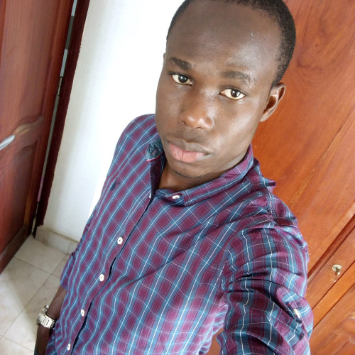 Tomy D. profile photo