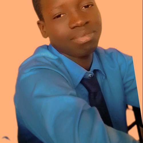 Fazou Bio Nari  B. profile photo