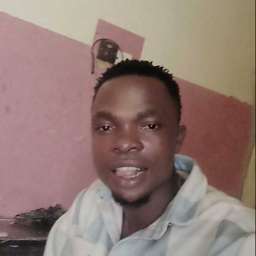 Kamsi S. profile photo