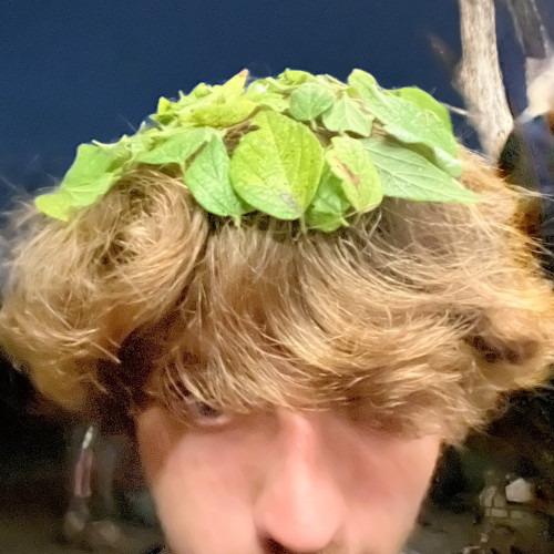 Dean N. profile photo