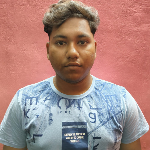 Biswajit N. profile photo