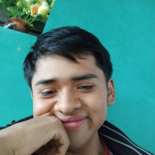 Luis  C. profile photo