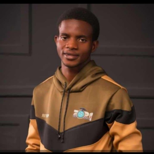 Oluwatimileyin  O. profile photo