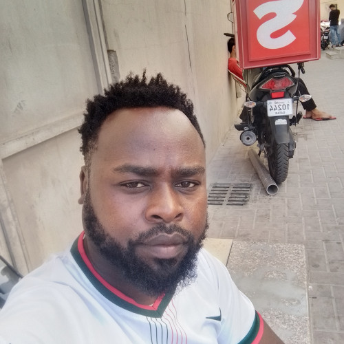 Elvis K. profile photo