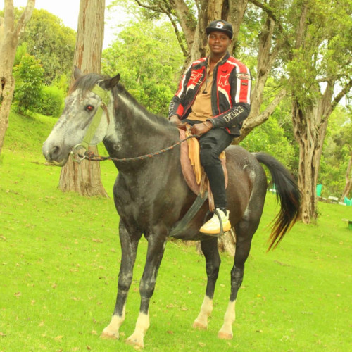 Peter M. profile photo