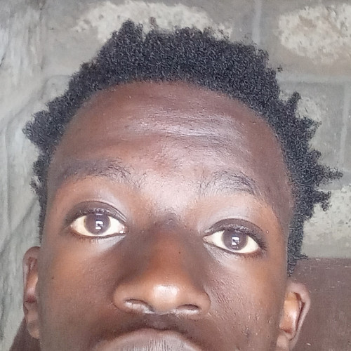 Austine O. profile photo