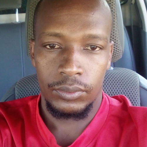 elvis  l. profile photo