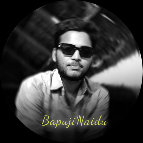 Bapuji N. profile photo