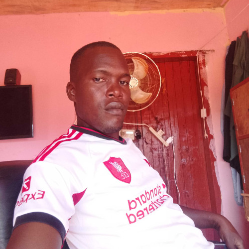 waiswa D. profile photo