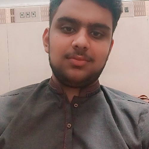 Husnain A.