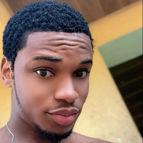 Daniel  D. profile photo