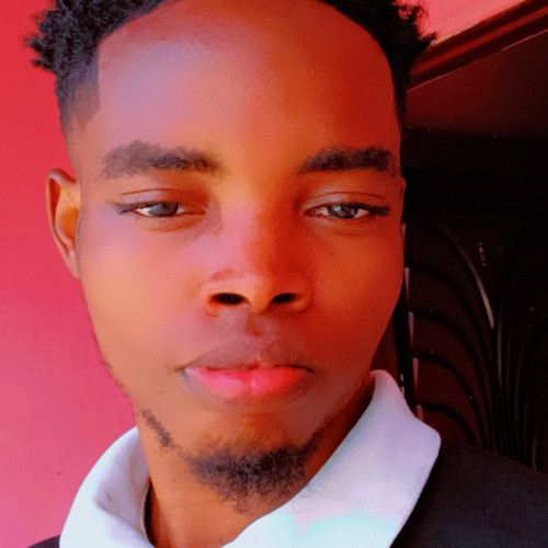 Chizzy J. profile photo