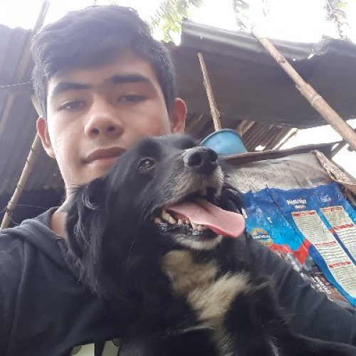 Daniel P. profile photo