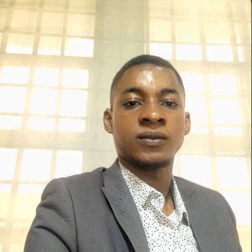 Ugochukwu  N. profile photo