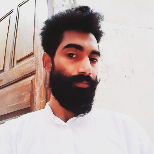 Dhanush B.