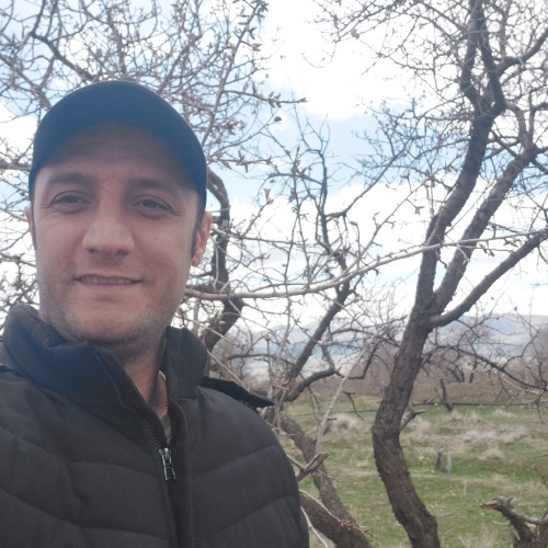 Mohammad R. profile photo