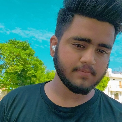 Priyansh S. profile photo