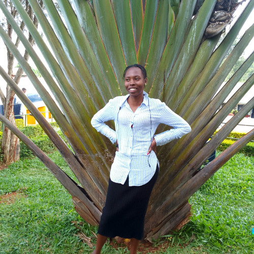 Silvia  W. profile photo