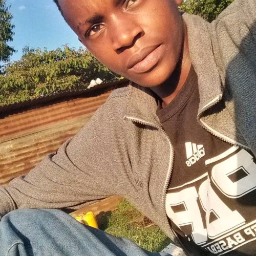 Newton M. profile photo