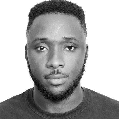 Ifeanyi N. profile photo