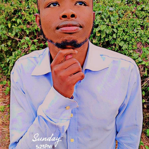 George n. profile photo