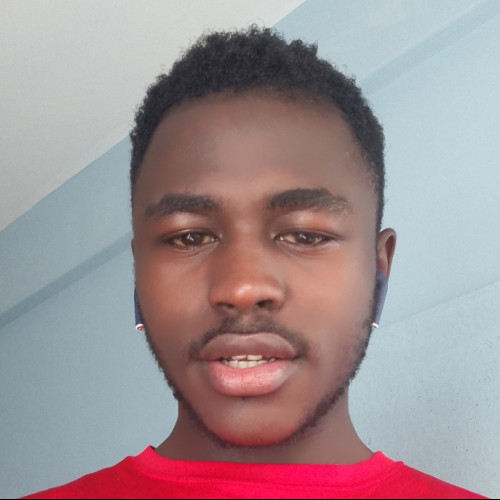 hamill l. profile photo