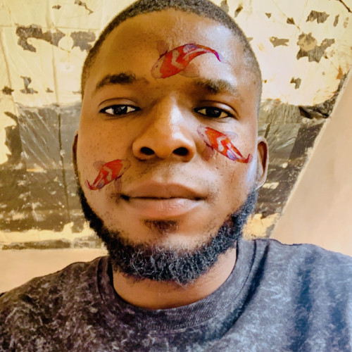Tosin E. profile photo