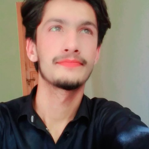 huzaifa  h.