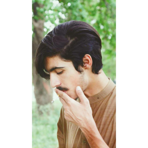 Ali H. profile photo