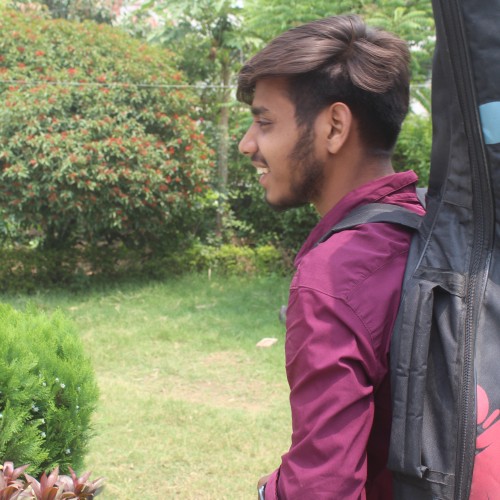Priyanshu S.