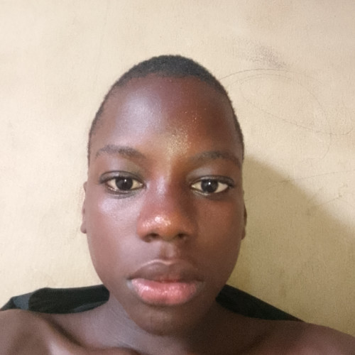 akinola  o. profile photo