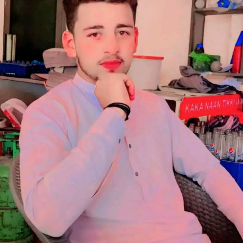 Hasnain M. profile photo