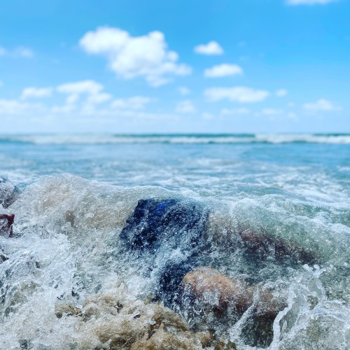 Hamza K. profile photo