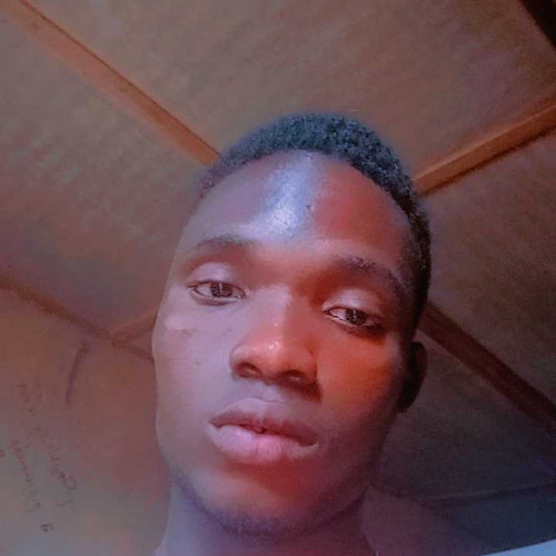Emmanuel S. profile photo