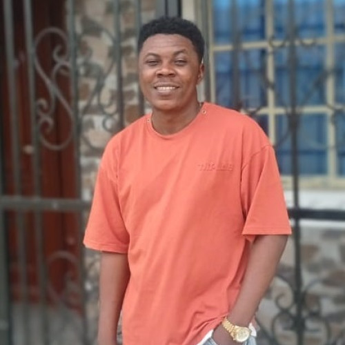 Abiodun O. profile photo