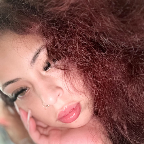 dani j. profile photo