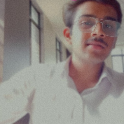Kaushik T.