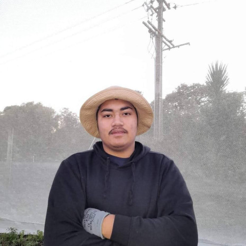 Tee K. profile photo