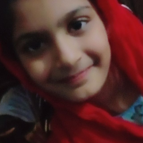 Shehzadi Amina S.