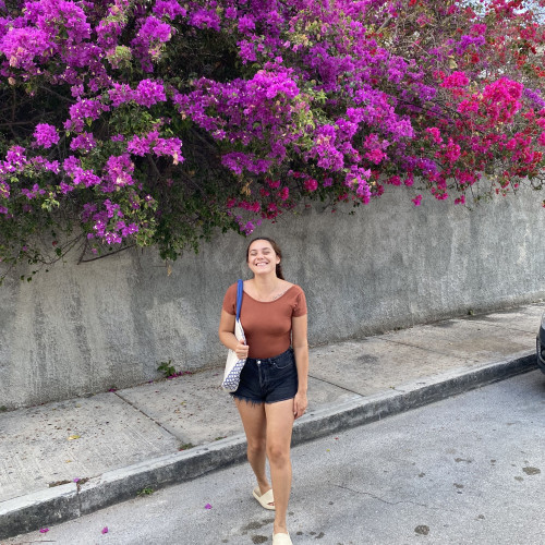 Alondra.S R. profile photo