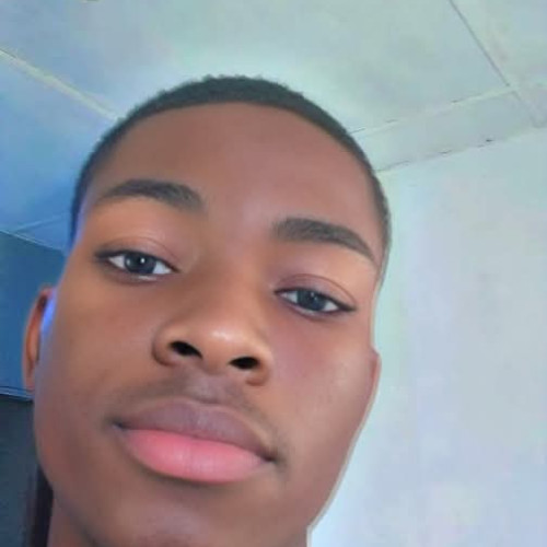 Chisom n. profile photo
