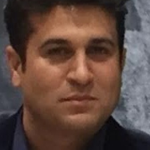 Hadi D. profile photo