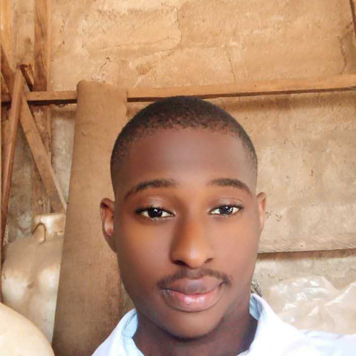 Kingsley P. profile photo