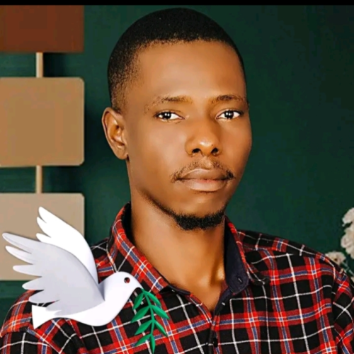 adadu o. profile photo